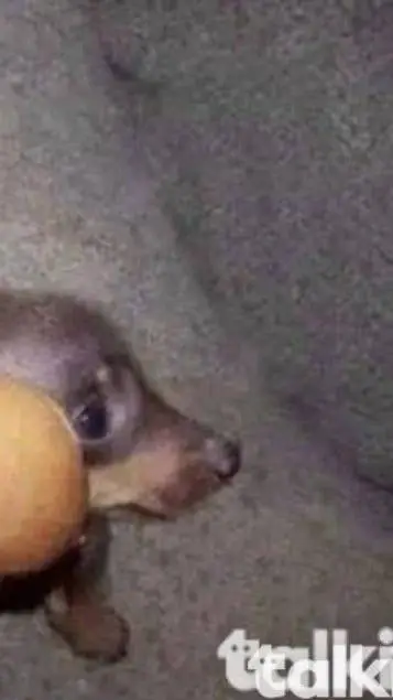 ai character: Normal HH day :) background