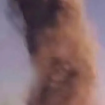 chat with ai character: you pregnet 90 👶🤰