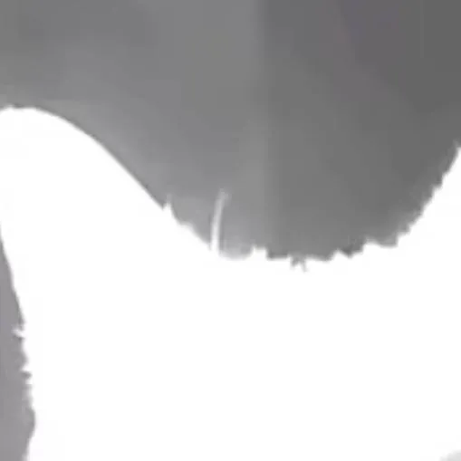 chat with ai character: MHA