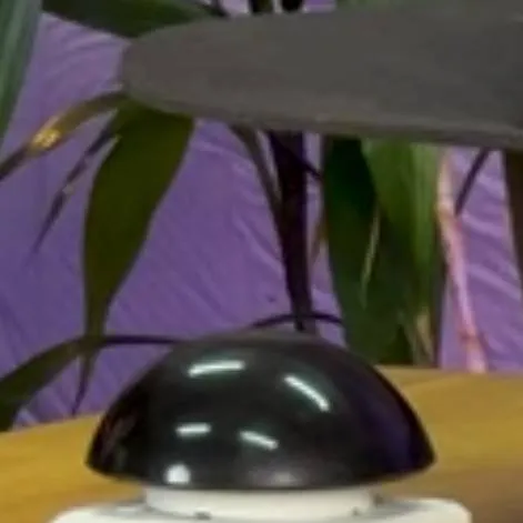 chat with ai character: Кнопка