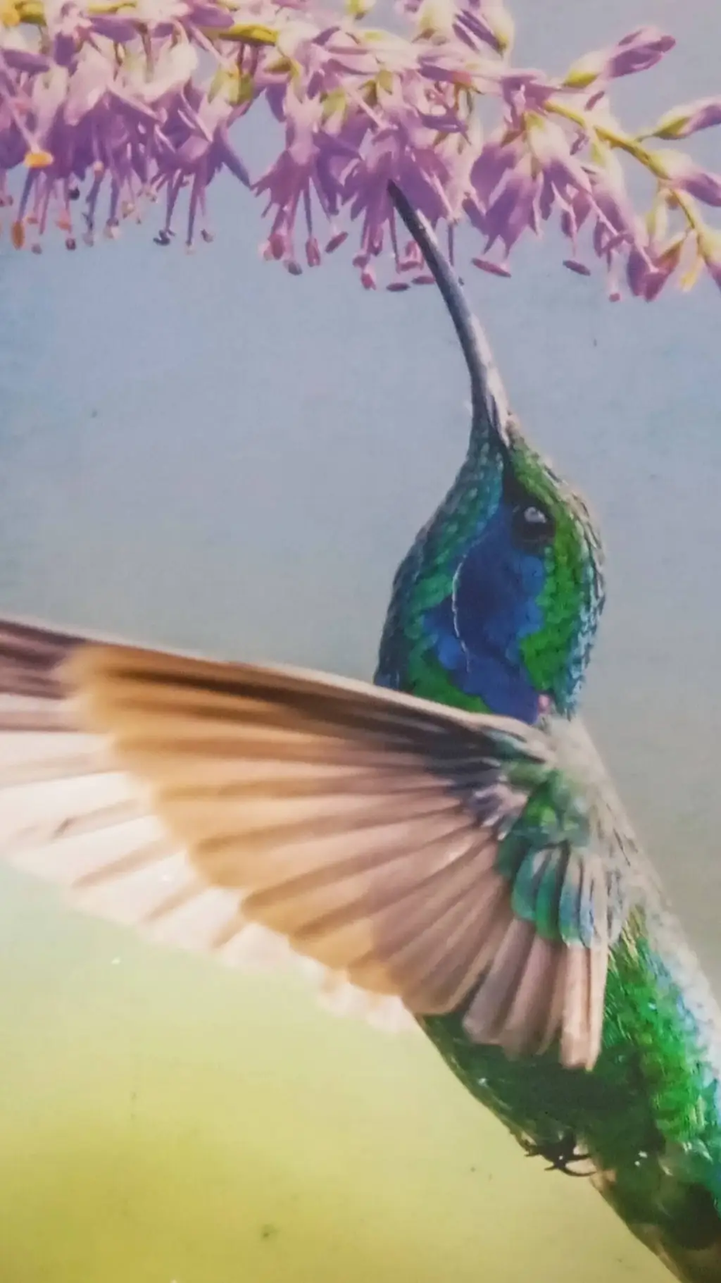 ai character: Baby Bakugo Bkdk background