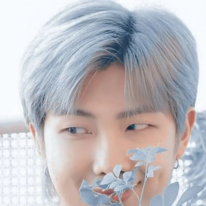 chat with ai character: namjoon (RM)