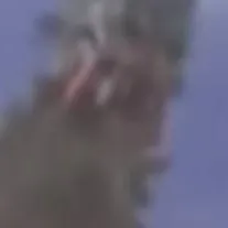 chat with ai character: Muruchi needs help