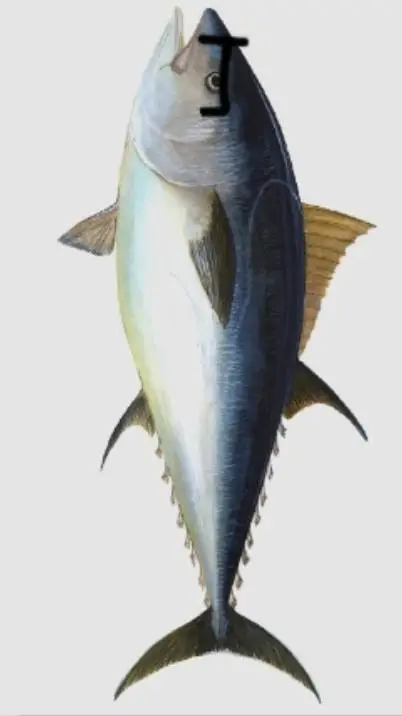 ai character: Ethan the Tuna 🐟 background