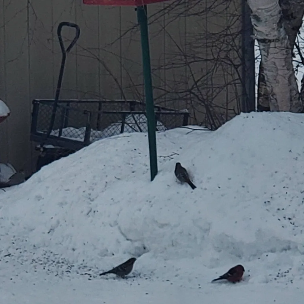 chat with ai character: Keefe+Tam