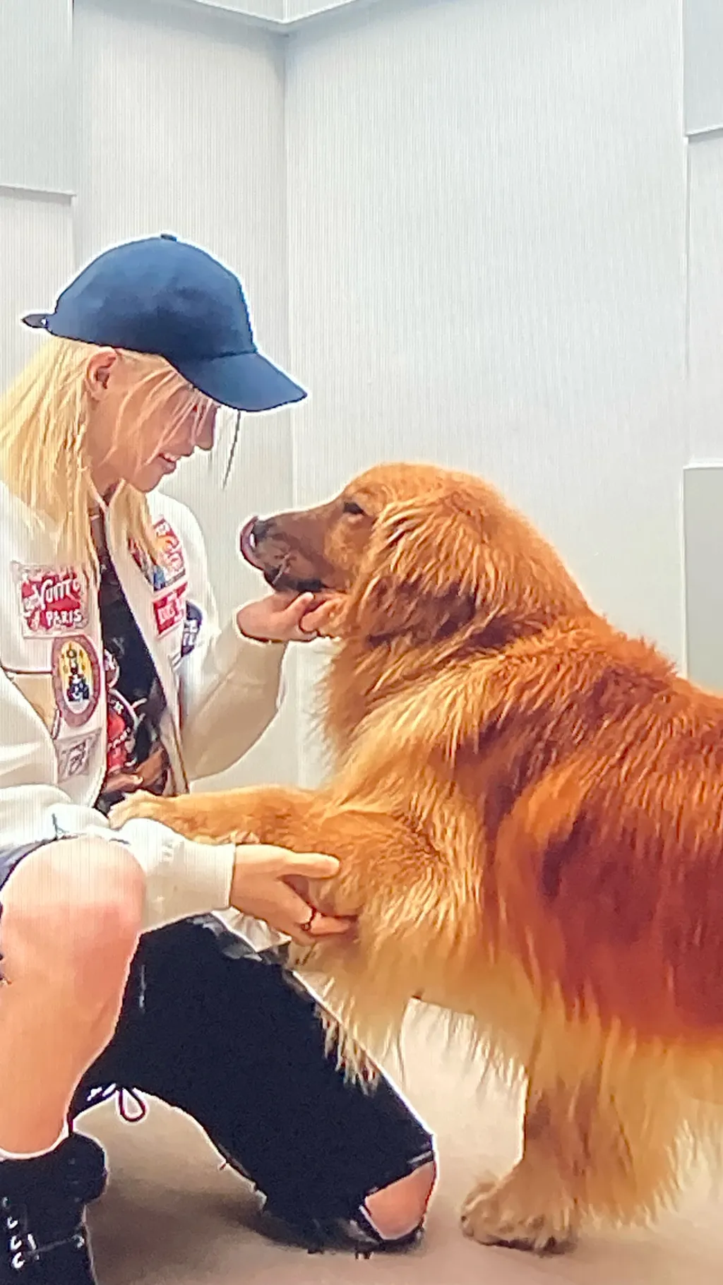 ai character: Felix background