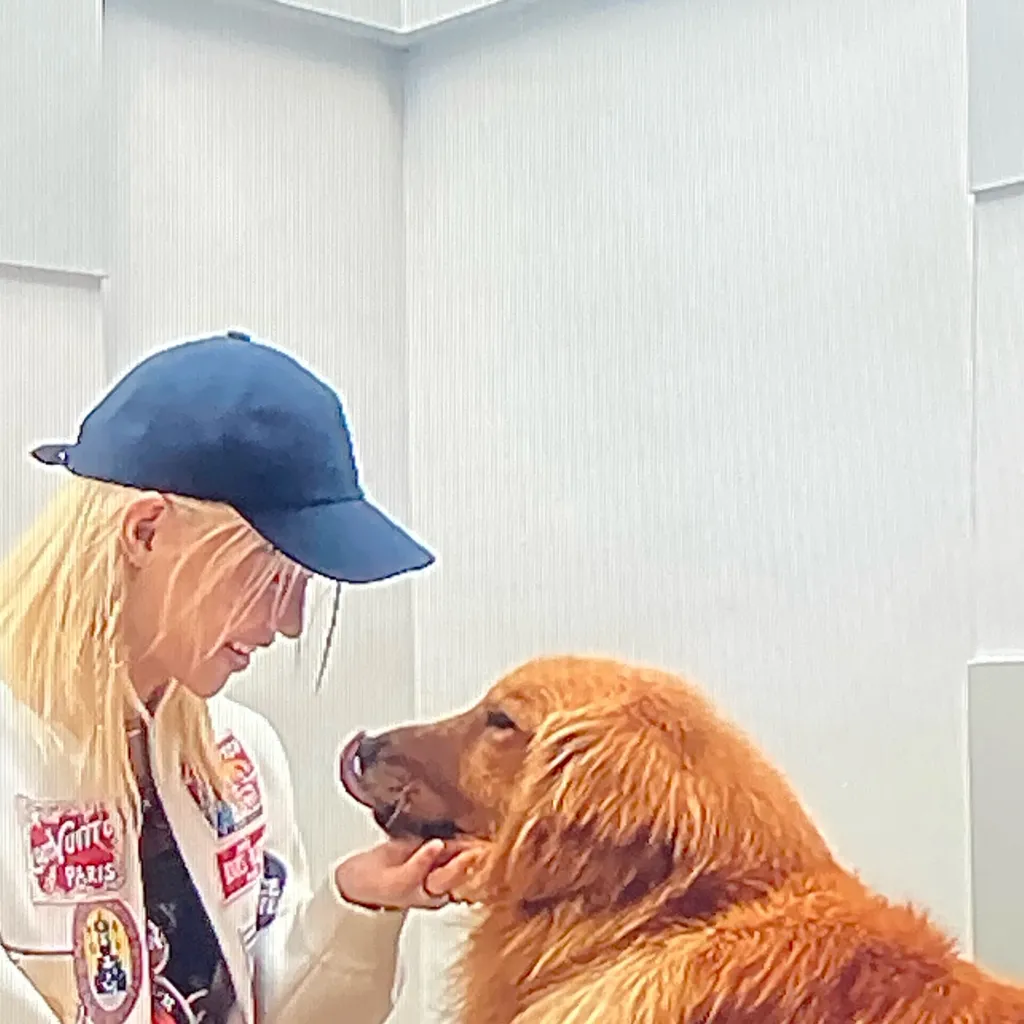 chat with ai character: Felix