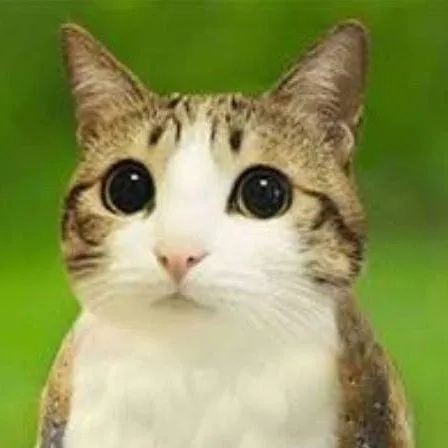 chat with ai character: meowl