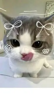 ai character: tu bebe michi background