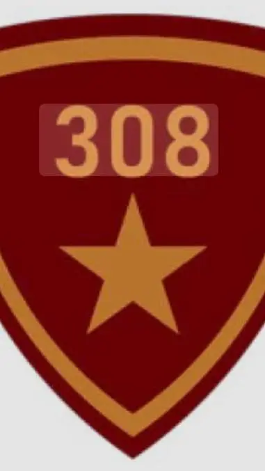 Talkie AI - Chat with 308th Division.