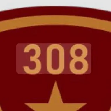 chat with ai character: 308th Division.