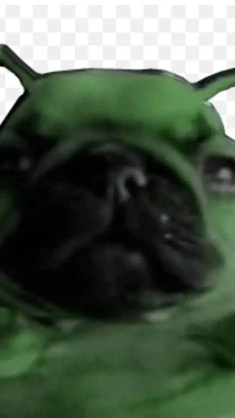 ai character: st x pm background