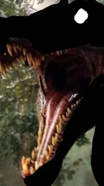 ai character: Class B♀️ background