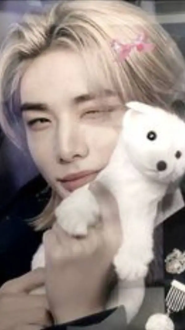 ai character: Hyunjin pet ferret background