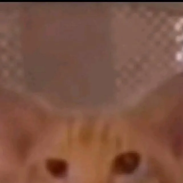 chat with ai character: el dui