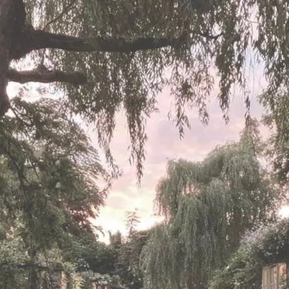 chat with ai character: Raven. ••