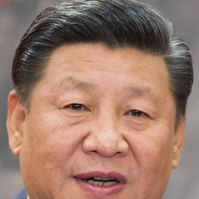 chat with ai character: Xi jinping