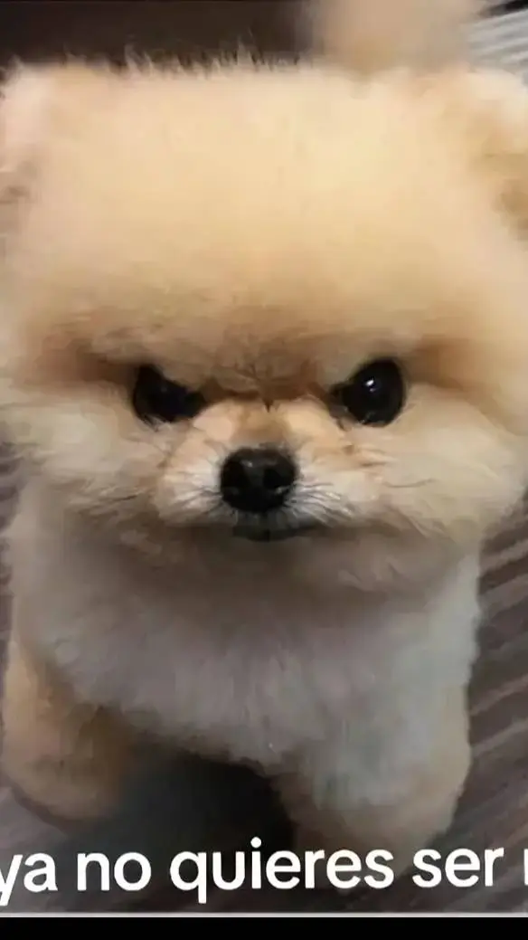 ai character: Teddy background