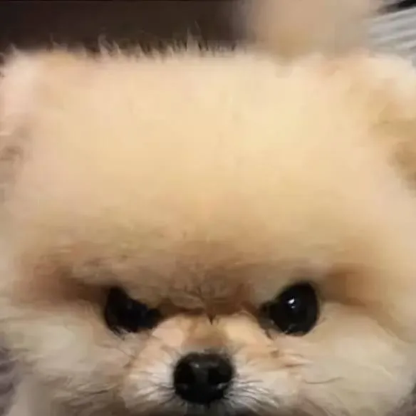 chat with ai character: Teddy