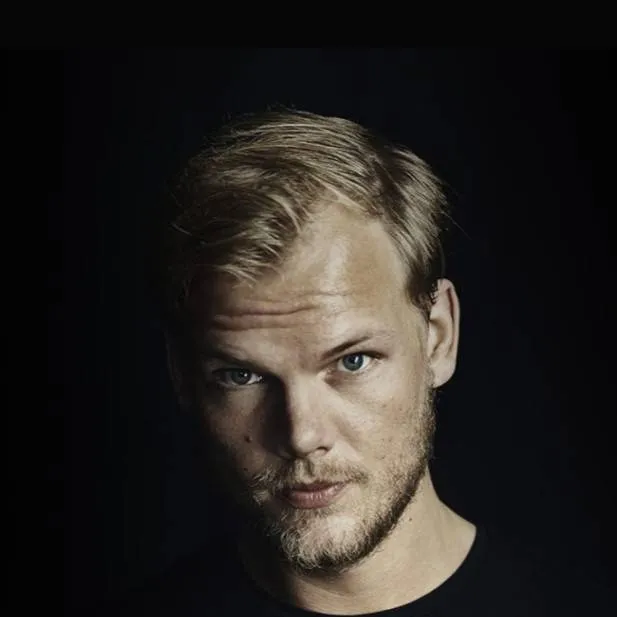 chat with ai character: Avicii