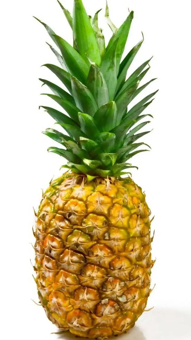 Talkie AI - Chat with Pineapple