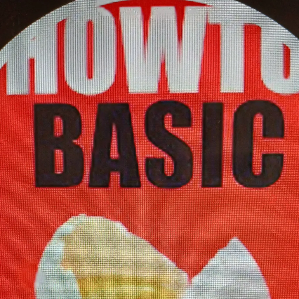 chat with ai character: HOW TO BASIC
