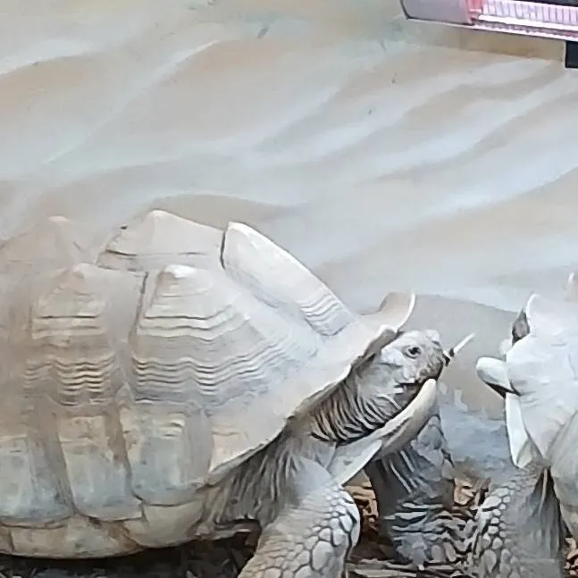 chat with ai character: family