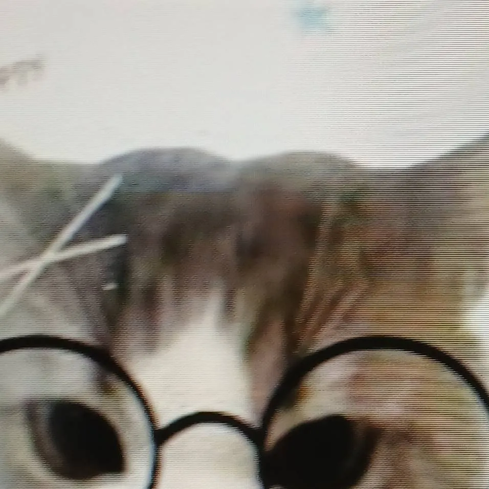 chat with ai character: Real life! 