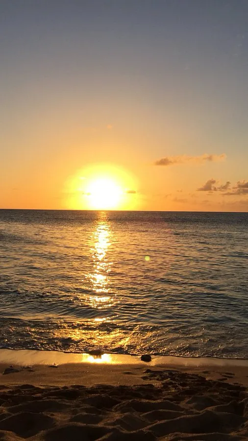 ai character: Idk background