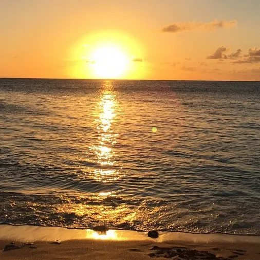 chat with ai character: Idk