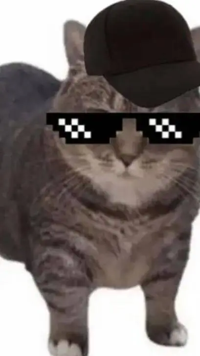 ai character: tu gato a fénix  background