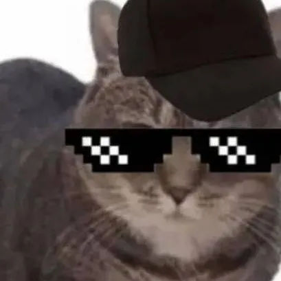 chat with ai character: tu gato a fénix 
