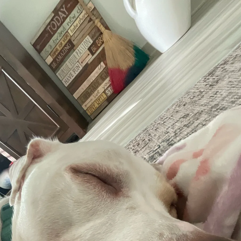 chat with ai character: My gc talent show