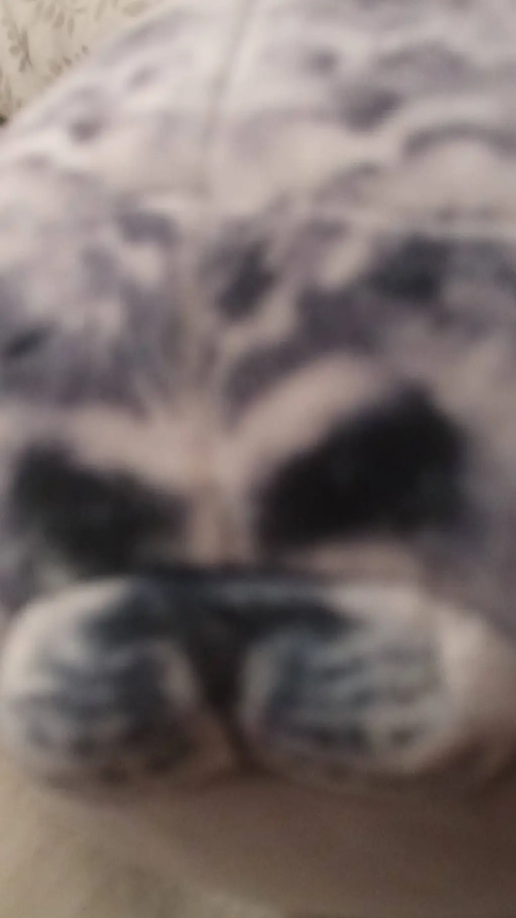 ai character: SEAL background