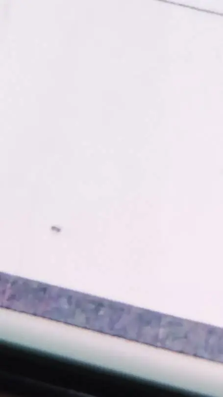 ai character: Minecraft SMP war background