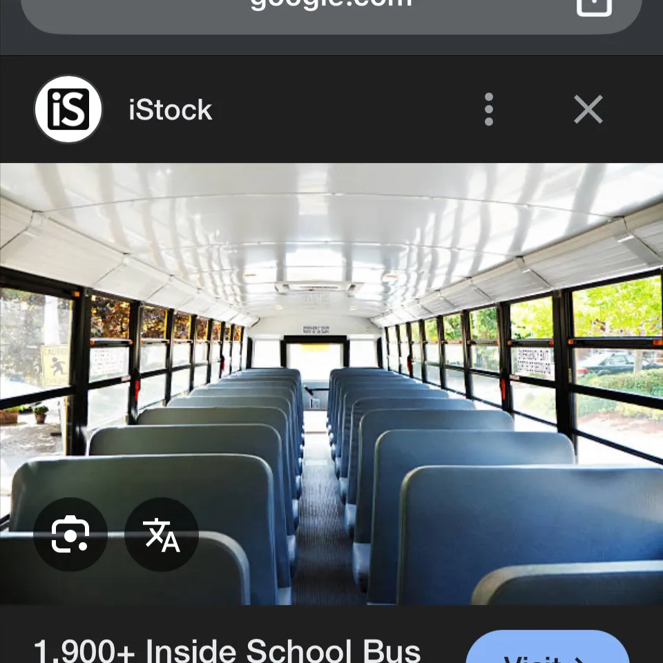 chat with ai character: My bus is Crasy