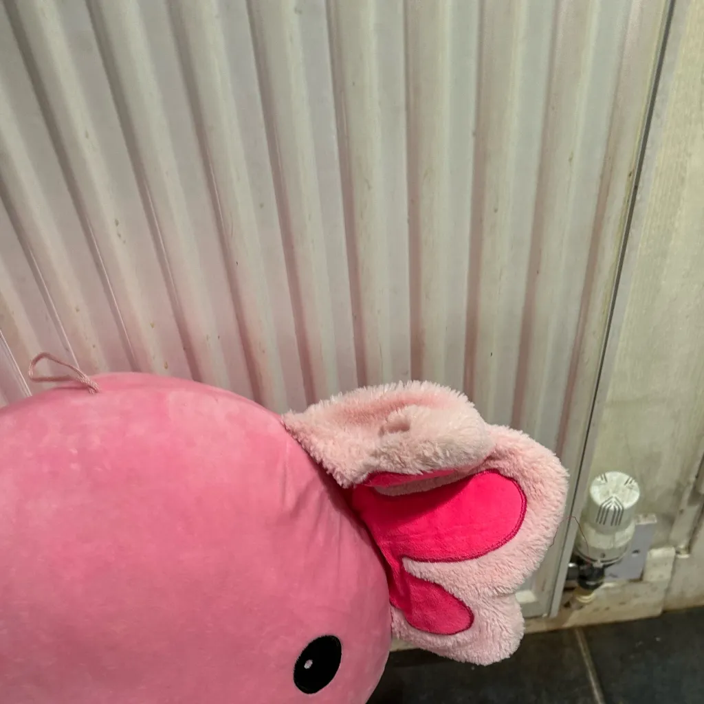 chat with ai character: Kiri