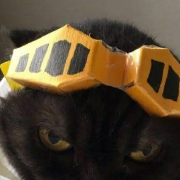 chat with ai character: catwa