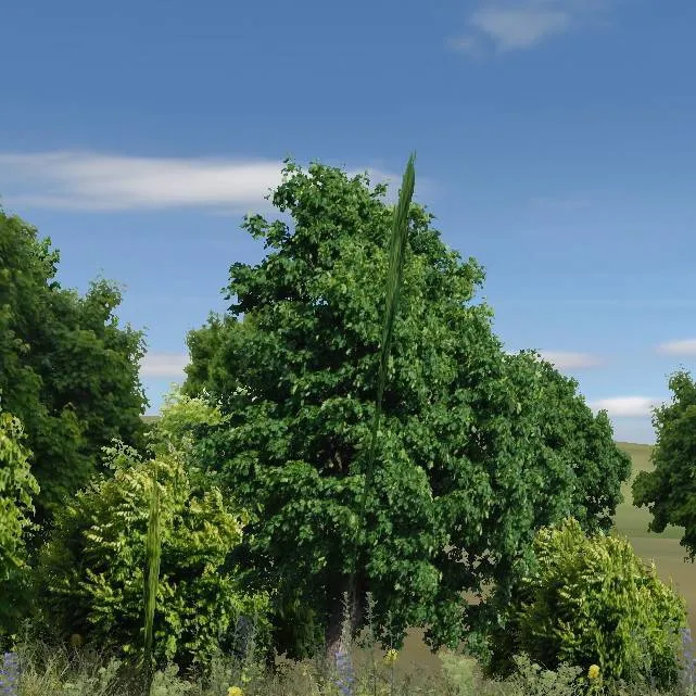 chat with ai character: Rally fury story