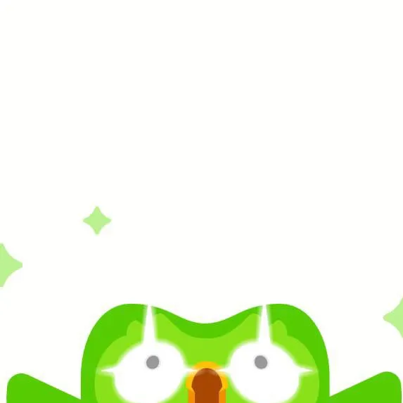chat with ai character: DUOLINGO