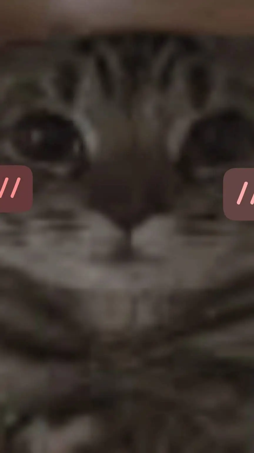 Talkie AI - Chat with pizza punch