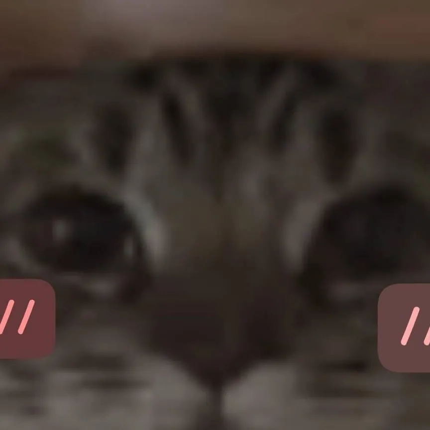 chat with ai character: pizza punch