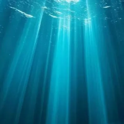 chat with ai character: Tay