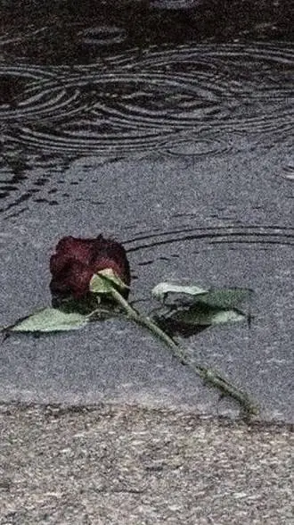 ai character: 🌧️ Sad Moments 🌧️ background