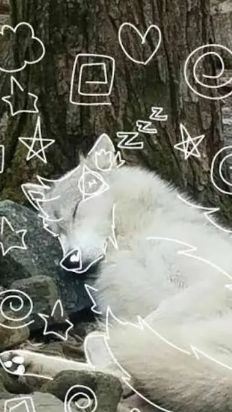 ai character: LUCAS background