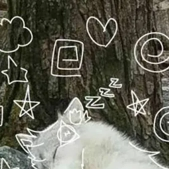 chat with ai character: LUCAS