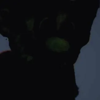 chat with ai character: Mario horror 