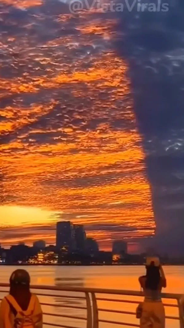 ai character: Where za frick ami background