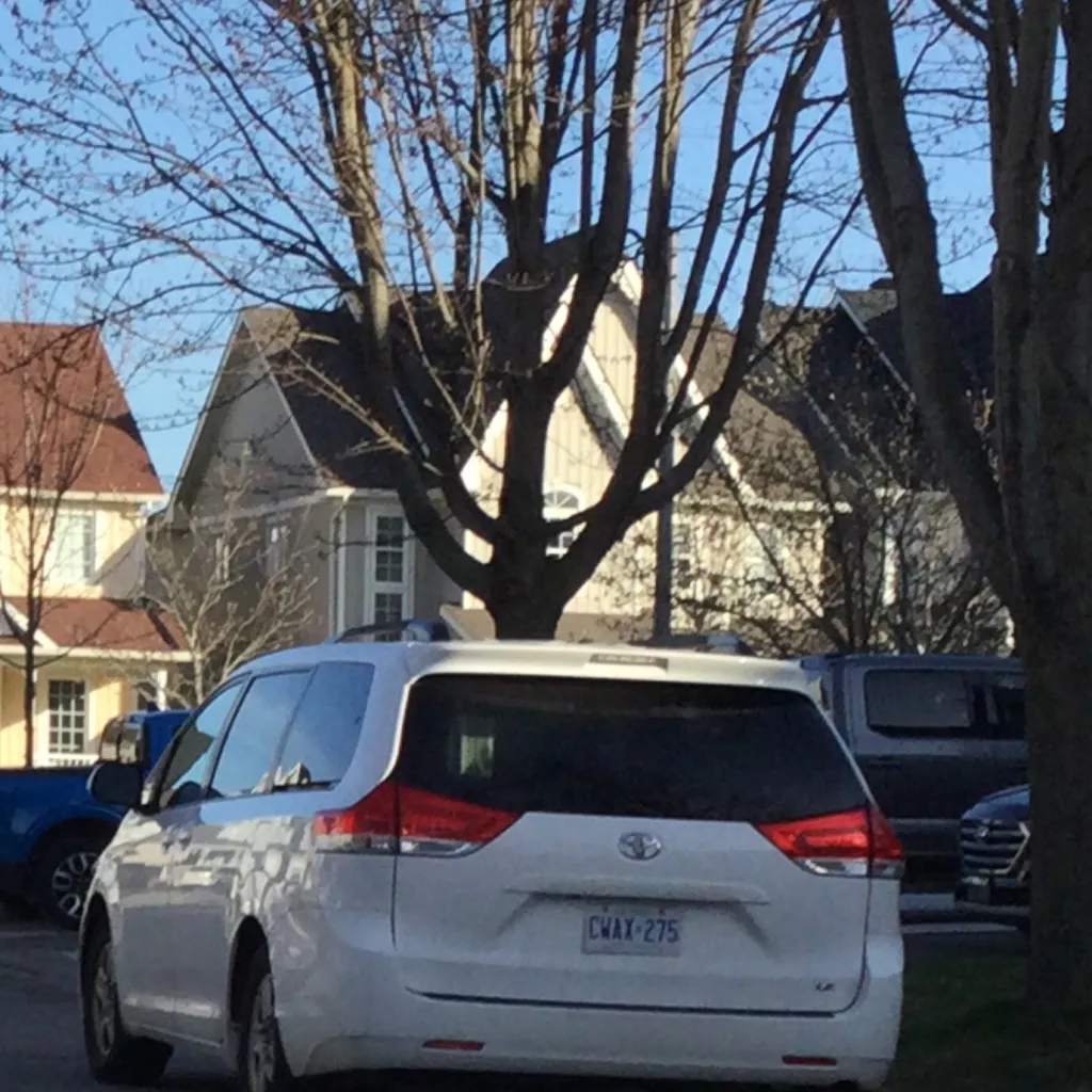 chat with ai character: Forsaken loves you