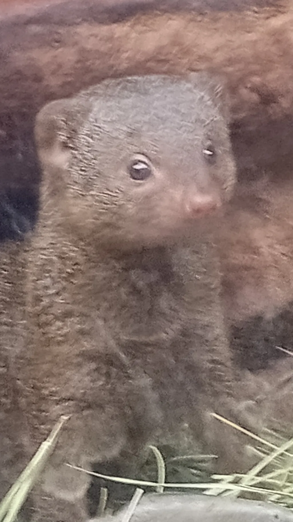 ai character: Creepy pastas ✨ background